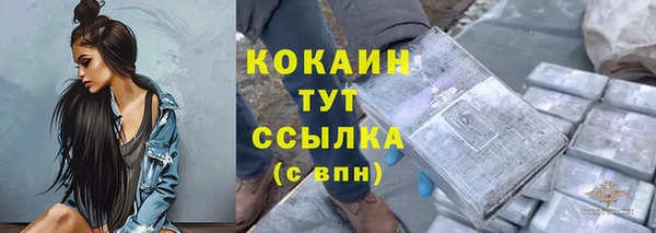 индика Осинники