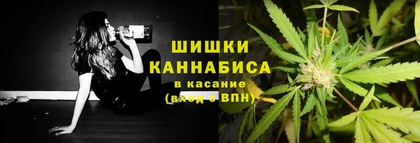 ГАЛЛЮЦИНОГЕННЫЕ ГРИБЫ Заволжье