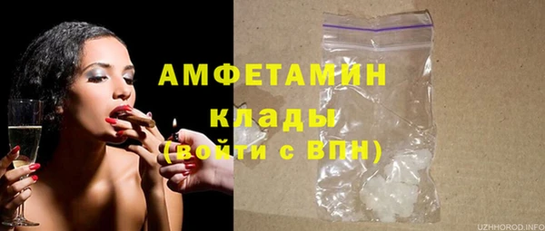 индика Осинники