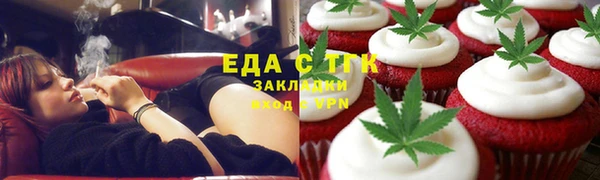 индика Осинники