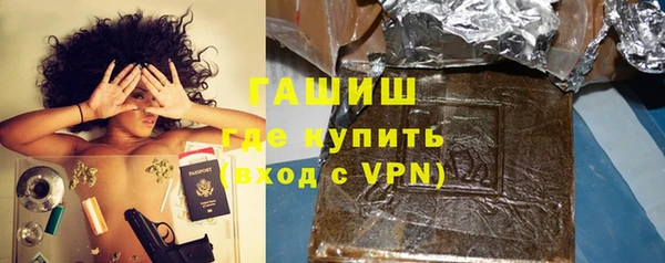 индика Осинники