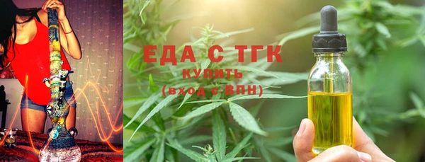 индика Осинники