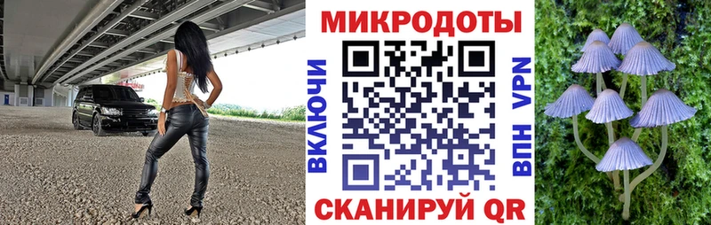 Галлюциногенные грибы Cubensis  Солигалич 
